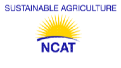 Group Banner Picture